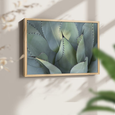Blue Agave I -Framed Print - Restickable
