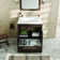 Alpharetta 24'' Single Bathroom Vanity with Acrylic Top