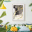 Peignes - impression encadrée-989839543-989839546