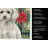 Miniature White Poodle Christmas PoinsettIas Kitchen Towel-2080583822