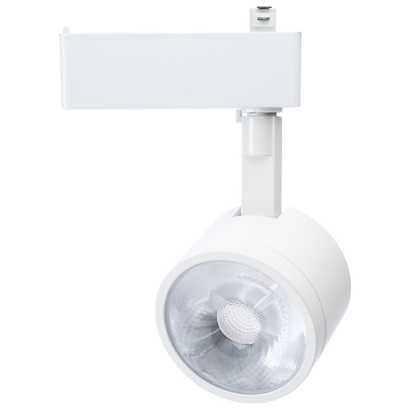 Tête ronde 12 watts à DEL avec forme d'étoile de mer et forme ronde 120 volts RVBTW, Blanc mat