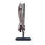 Alaisia 300cm Cantilever Parasol-25468621-25591914