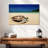 Brampt Turtle On Beach-107720893
