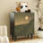 17 Pair Shoe Storage Cabinet