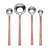 INOX Artisans Sundance Measuring Spoons 4 Pc. Set