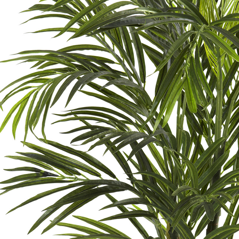 Areca Palm Tree in Pot, 30" H x 24" W x 24" D