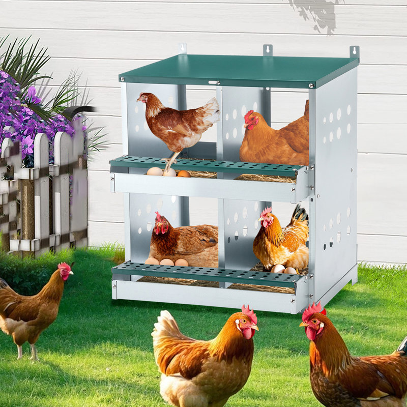 Boîtes de nidification de poulet à 4 compartiments, boîtes de nidification murales en métal pour différentes races