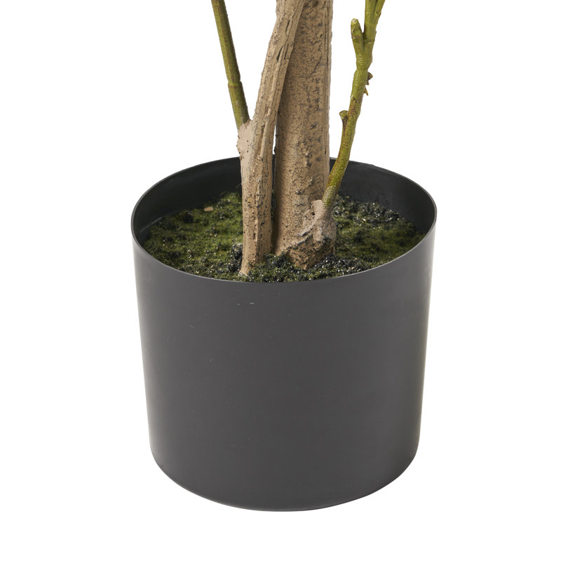 Laurier artificiel en pot Abernethy, H 64 po x l 24 po x P 29 po