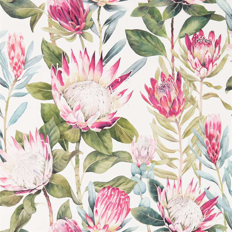 King Protea Wallpaper, Rhodera/Cream