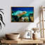 Tortue sous l'eau-1266010375-1266010372