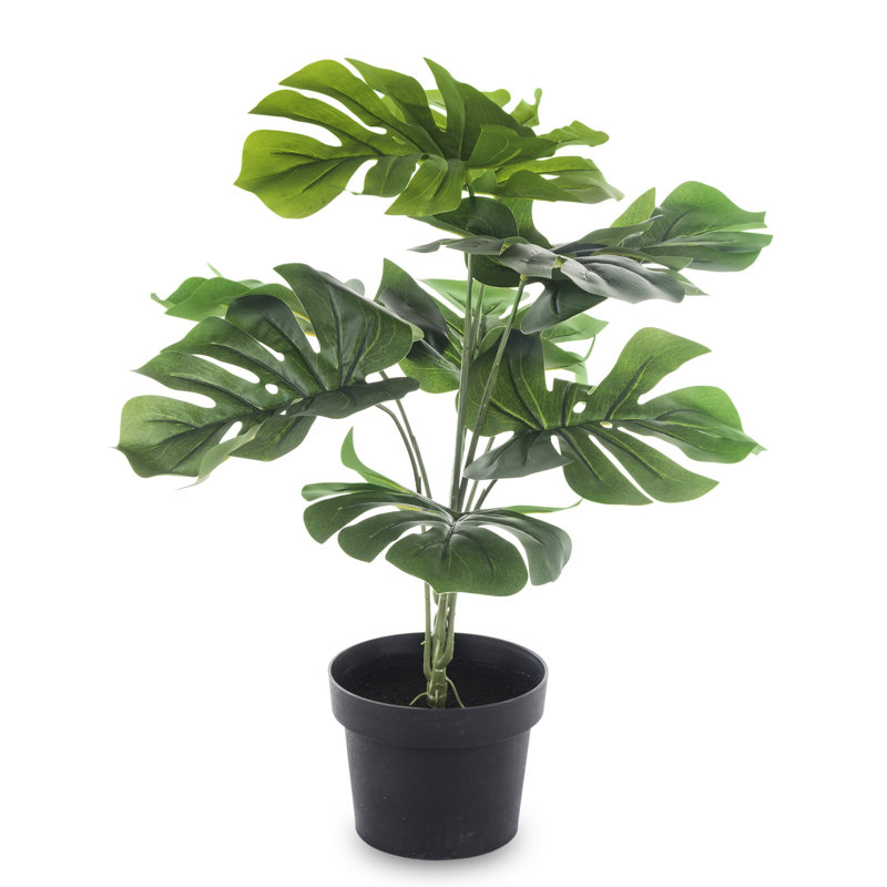 55cm Faux Evergreen Plant in Pot