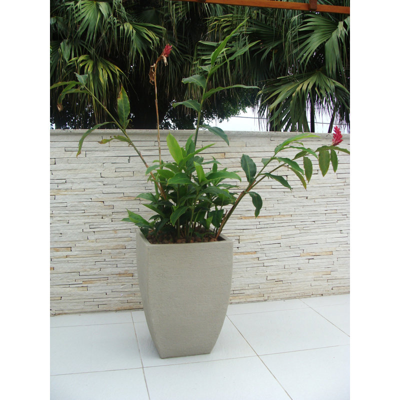 Pot à fleurs en plastique Chris, Grès, H 21,2 po x l 14,5 po x P 14,5 po