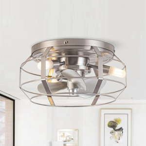 https://assets.wfcdn.com/im/01362051/resize-h300-w300%5Ecompr-r85/2459/245918870/Rakestraw+12.2%27%27+Flush+Mount+Caged+Ceiling+Fan+with+LED+Lights+and+Remote+Control.jpg