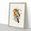 Splendid Parakeets by Elizabeth Gould - Picture Frame Painting Print-55619852-55619851