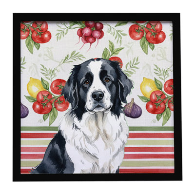 Landseer Newfoundland Vegetables Framed Metal Print