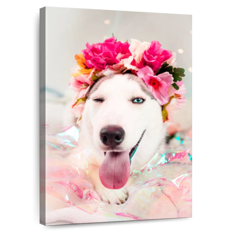Brampt Cute Husky, 48" H x 32" W