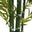 Ensemble de plantes Nadia-132797845-132797844