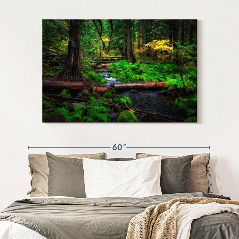 Ruisseau Alvord Willamette National Forest, H 34 po x l 51 po