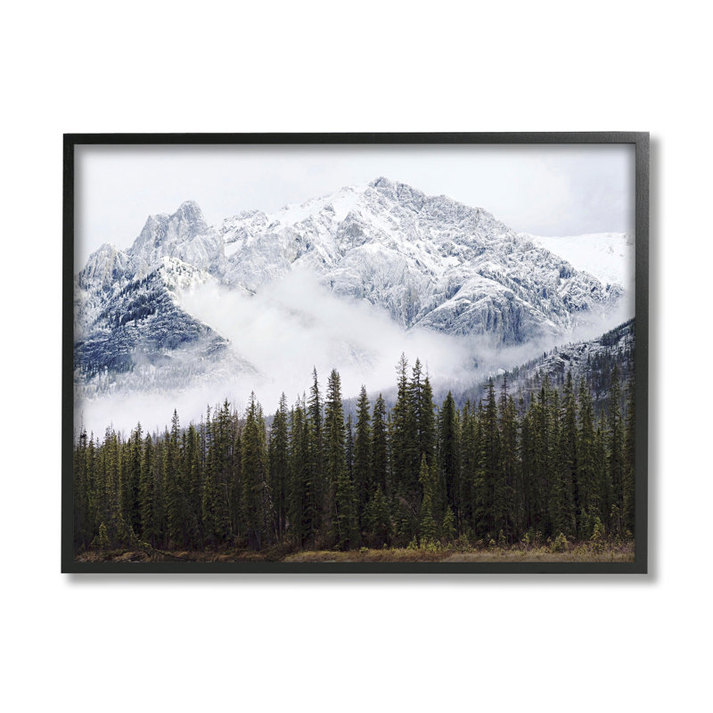 Snowy Mountain Top Tall Fir Trees, Giclée encadrée noir minuit, H 11 po x l 14 po