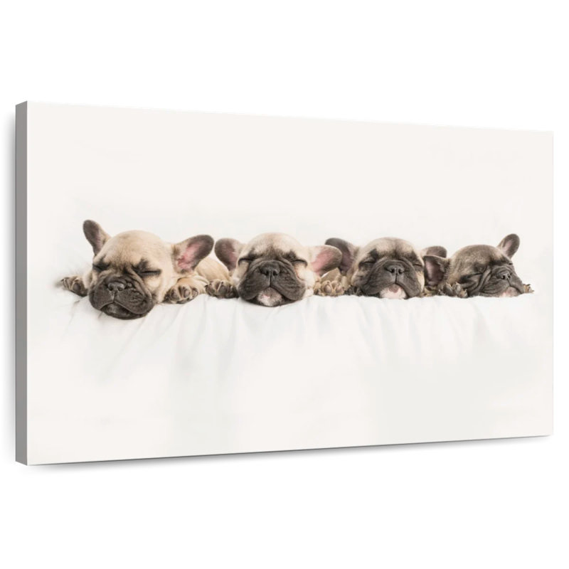 Brampt Napping French Bulldogs, 32" H x 48" W