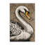  Tapis lavable lavé à cygne-2144094275