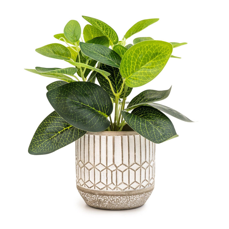22cm Faux Evergreen Plant in Cement Pot