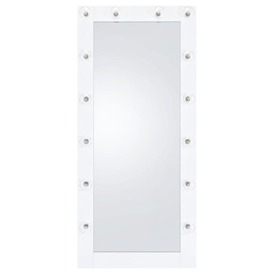 Gaynor 32 X 71 Inch Floor Mirror LED Lighting Black Gloss