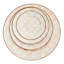 Rosy Check Dinner Plate