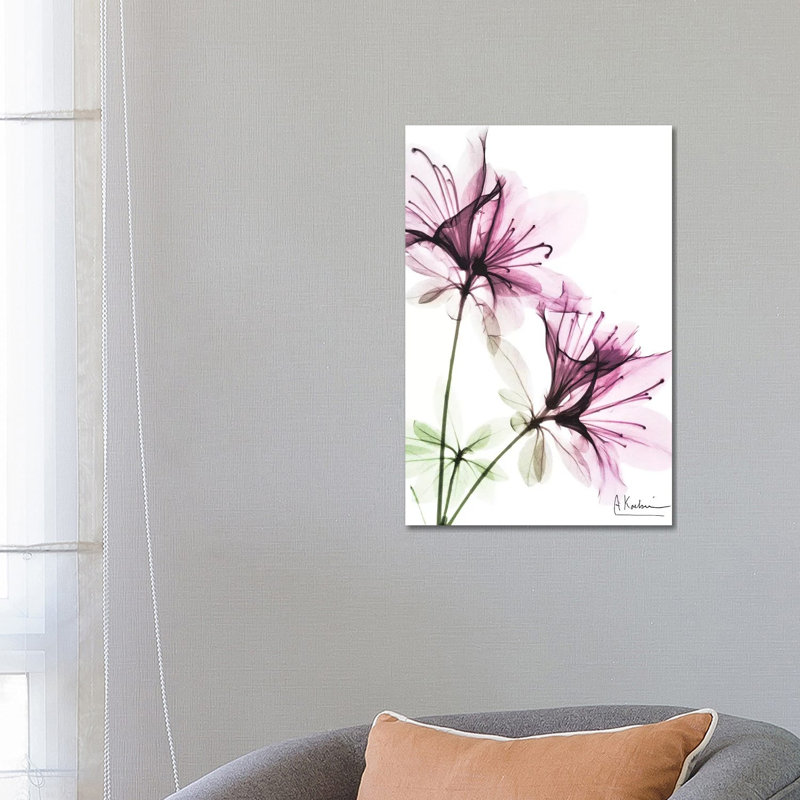 Splendid Beauty I by Albert Koetsier - Wrapped Canvas Print, 66.04 cm H x 45.72 cm W x 1.91 cm D