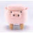 Corno 14.17" Wide Pig Storage Ottoman