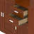 Twin Size Wood Platform Bed With Sample Bookshelf And Movable Wardrobe, Multifunctional Bed With Built-In Trundle Bed-1327775854