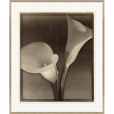 Sepia Flowers 9 Print