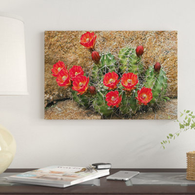« claret cup cup fleuring », impression sur toile