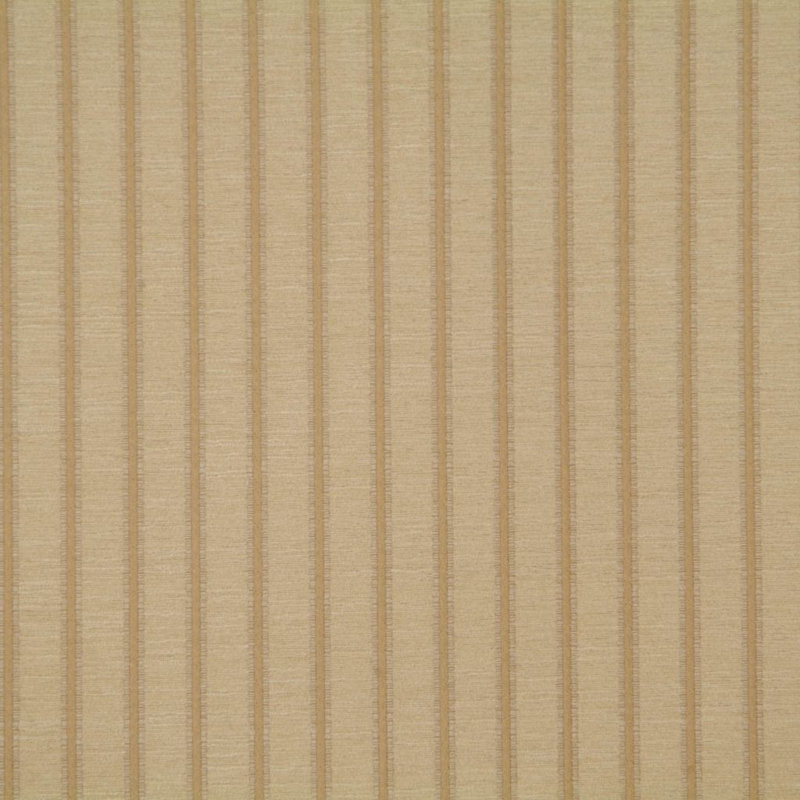 Allure Fabric
