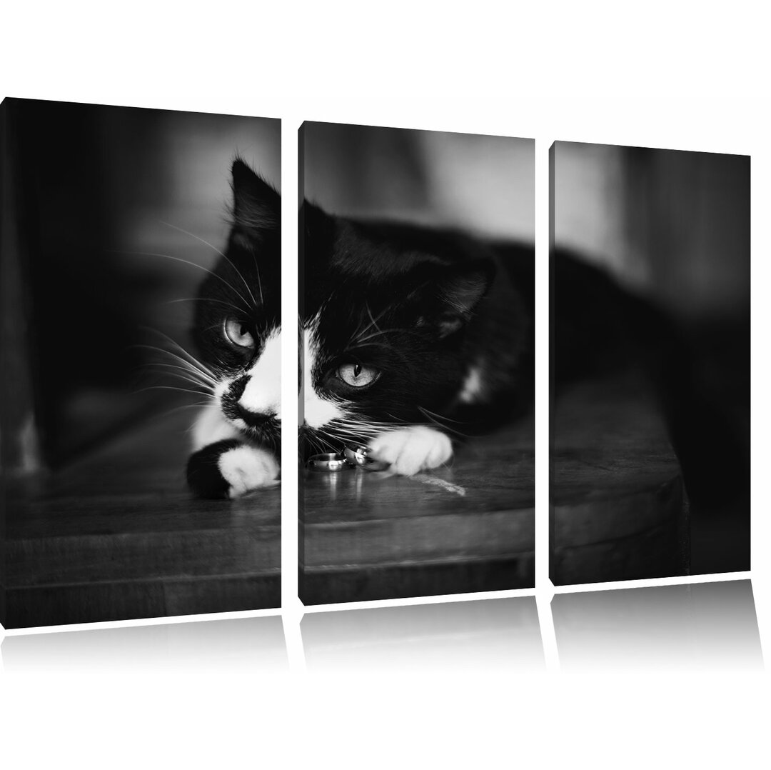 3-tlg. Leinwandbilder-Set Schwarze Katze spielt mit Ehering, Fotodruck