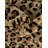 Testerman Animal Print Indoor Rug-875808265