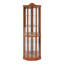 Vitrine d'angle vitrée avec vitrine d'angle lumineuse, vitrine avec éclairage (incluse), armoire à vin, armoire à vin avec tablettes réglables en verre, lumière décorative sculptée (incluse)