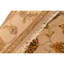 Oriental Area Rug in Ivory