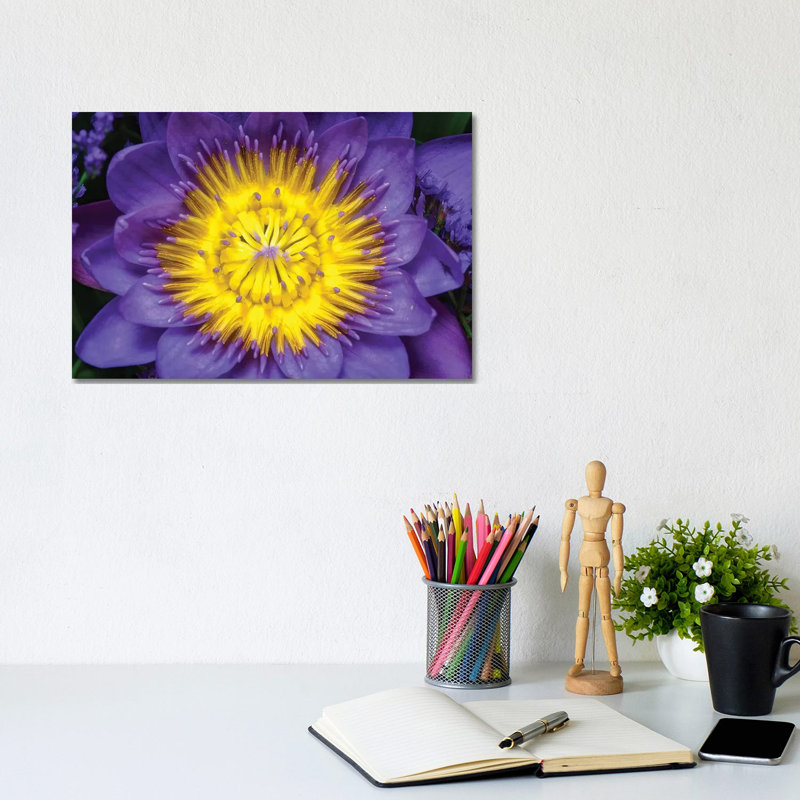Lotus by Glauco Meneghelli - Wrapped Canvas Print, 20.32cm H x 30.48cm W x 1.9cm D