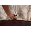 One-of-a-Kind Area Rug Ivory
