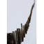 Along the Fence' Photographic Print