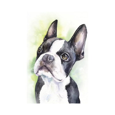 " Boston Terrier Puppy " by George Dyachenko Painting Print