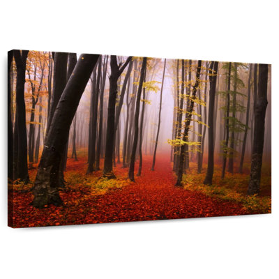 Kerrick Autumn Morning Mist