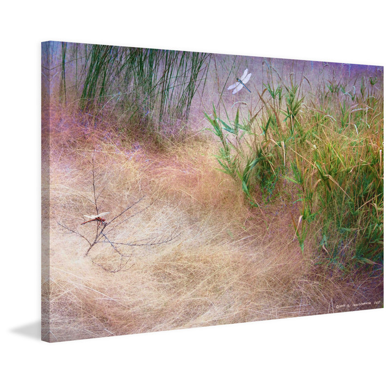 Muhly Grass Textures by Chris Vest - Wrapped Canvas Print, 102cm H x 152cm W x 4cm D