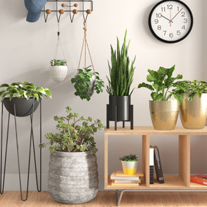 Planters