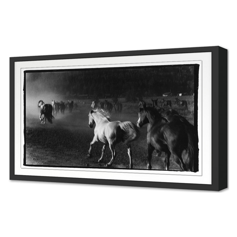 Hoof Dreams Print by Raab, Amy, Black Single Picture Framed, 20'' H x 30'' W