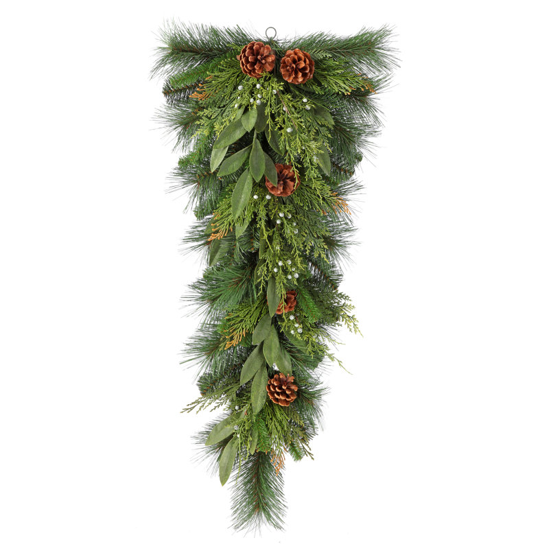 Ensemble de feuilles et de cônes en cèdre juniper