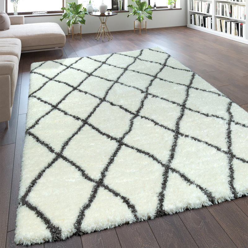 Brunet Oriental Area Rug, Rectangle 120 x 160cm