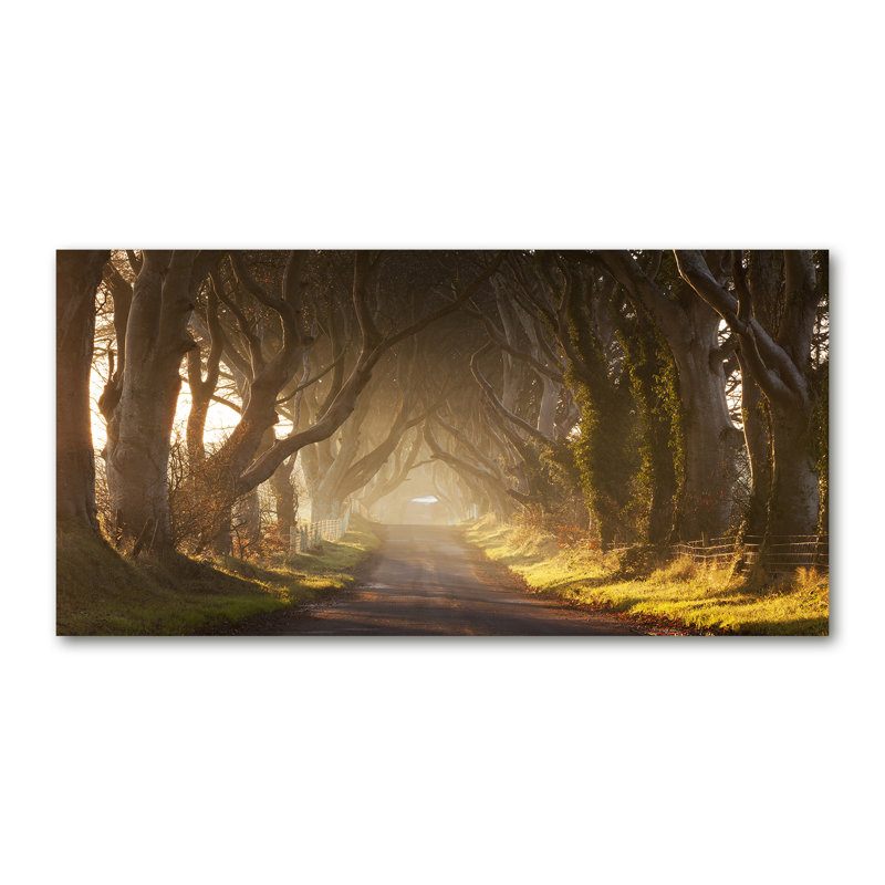 Fog In The Forest - Wrapped Canvas Print
