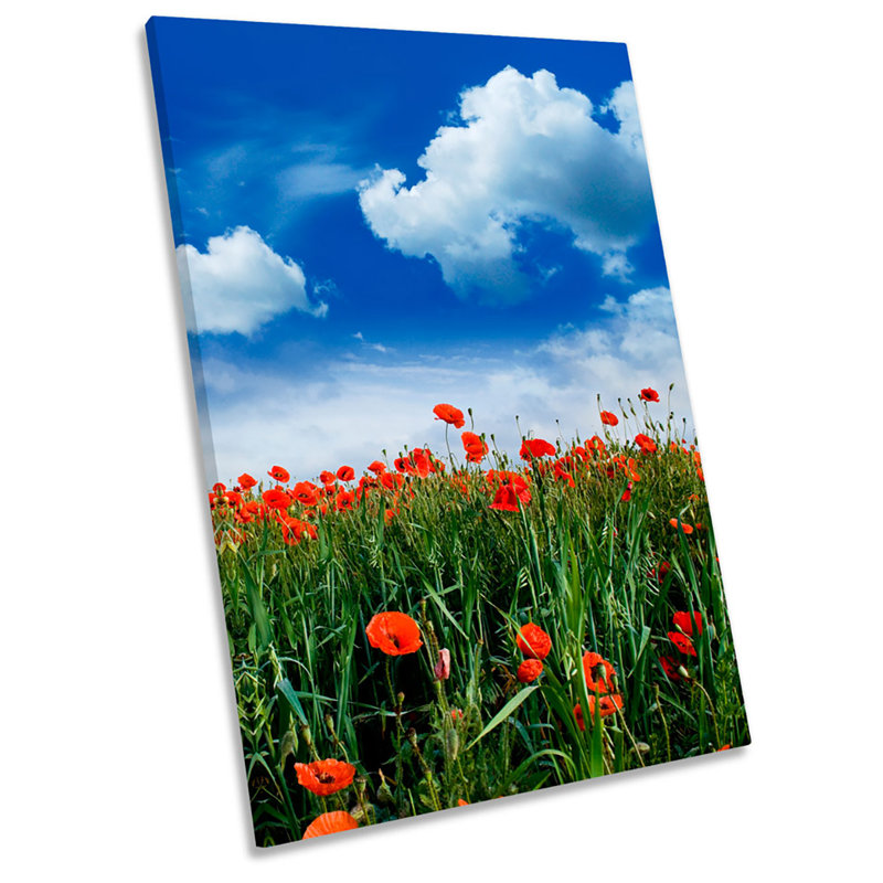 X0220 Poppy Meadow Floral Flowers - Wrapped Canvas Print, 30cm H x 20cm W x 2cm D